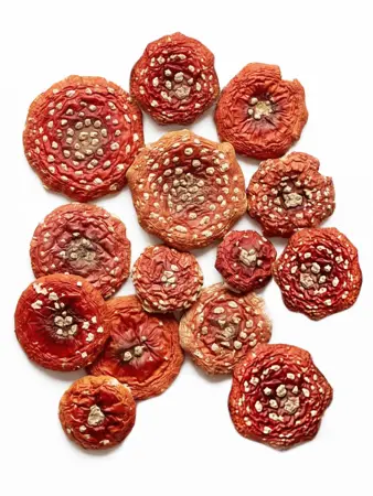 Мухомор Красный, шляпки сушеные в вакууме, 50 г Мухомор Красный, шляпки сушеные в вакууме, 50 г